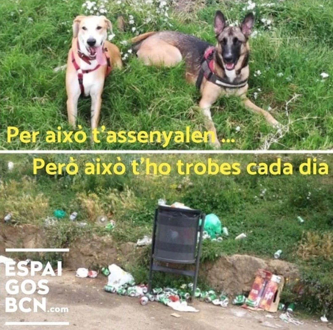 No somos irrespetuosos con nuestro entorno.
Sabemos que nuestros perros necesitan espacios abiertos donde jugar, socializarse, oler
Por eso los parques para las #personesambgos son muy importantes. Espacios que utilizamos cada dia para su buen equilibrio emocional. <a href="/BCN_Ecologia/">BCN_Ecologia</a>