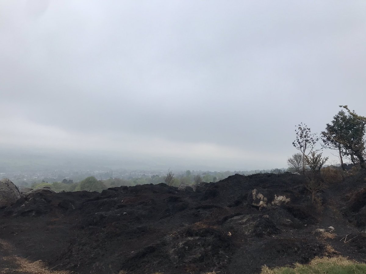 Saira Luffman tweet media