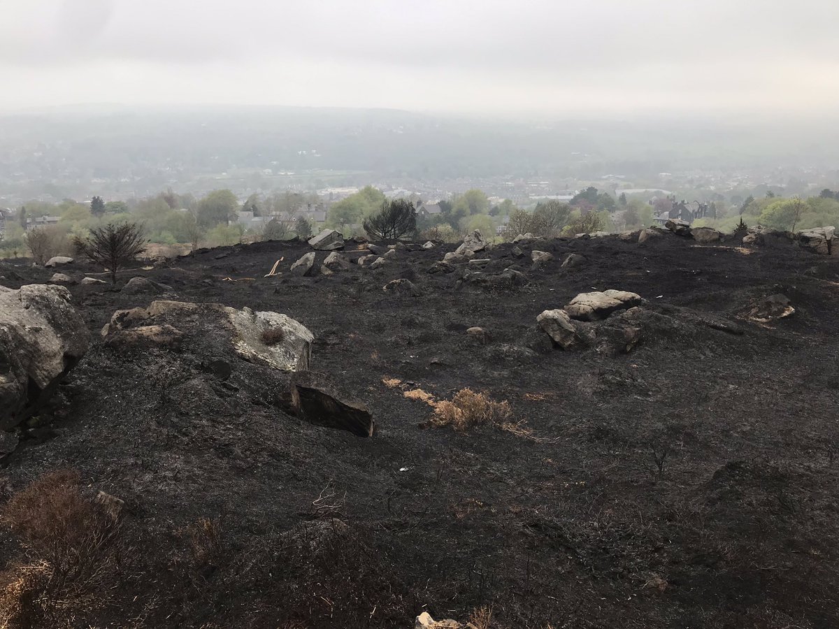 Saira Luffman tweet media