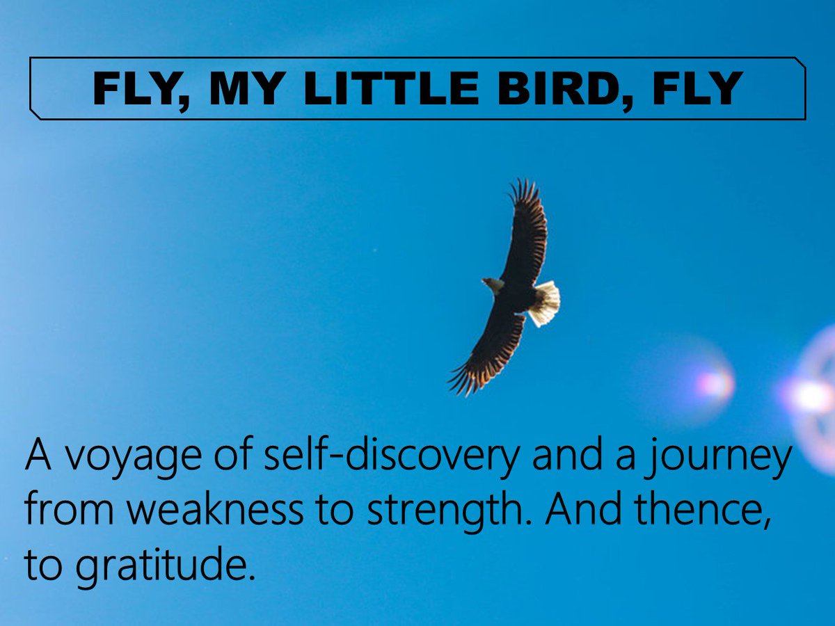 sliceoflife466's tweet photo. #SliceOfLifeStories "Fly, My Little Bird, Fly" #podcast will be out this Friday April 26th, 2019. This is a story about #flymylittlebirdfly #thepast #reconciliation #refuge #comfortzone #gratitude #monastery #convent #facinglifeheadon #risk #respect #gointotheworld #findyourpeace https://t.co/Lfibs9tJMH