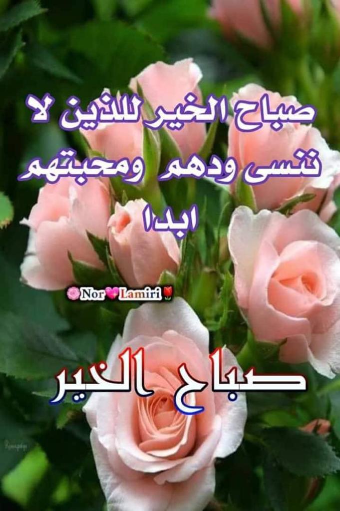 حلا (@hhala2551) on Twitter photo 