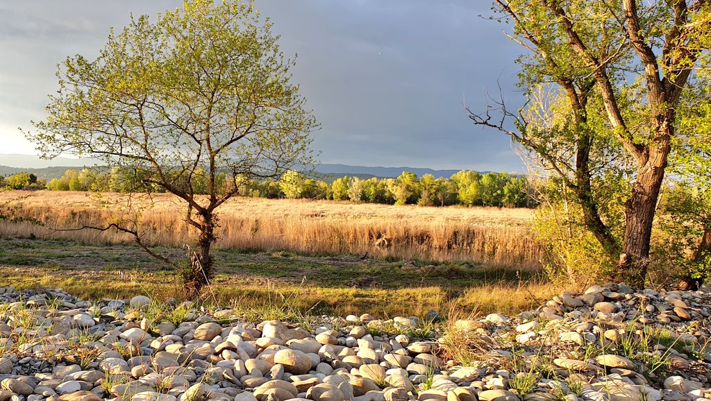 pimprenellepaca's tweet photo. Une #BaladeSympa en #durance,  même sous la #pluie la #provence a du #charme 😎
#MagnifiqueFrance #nature #paysage https://t.co/Ya4j3sKMAW