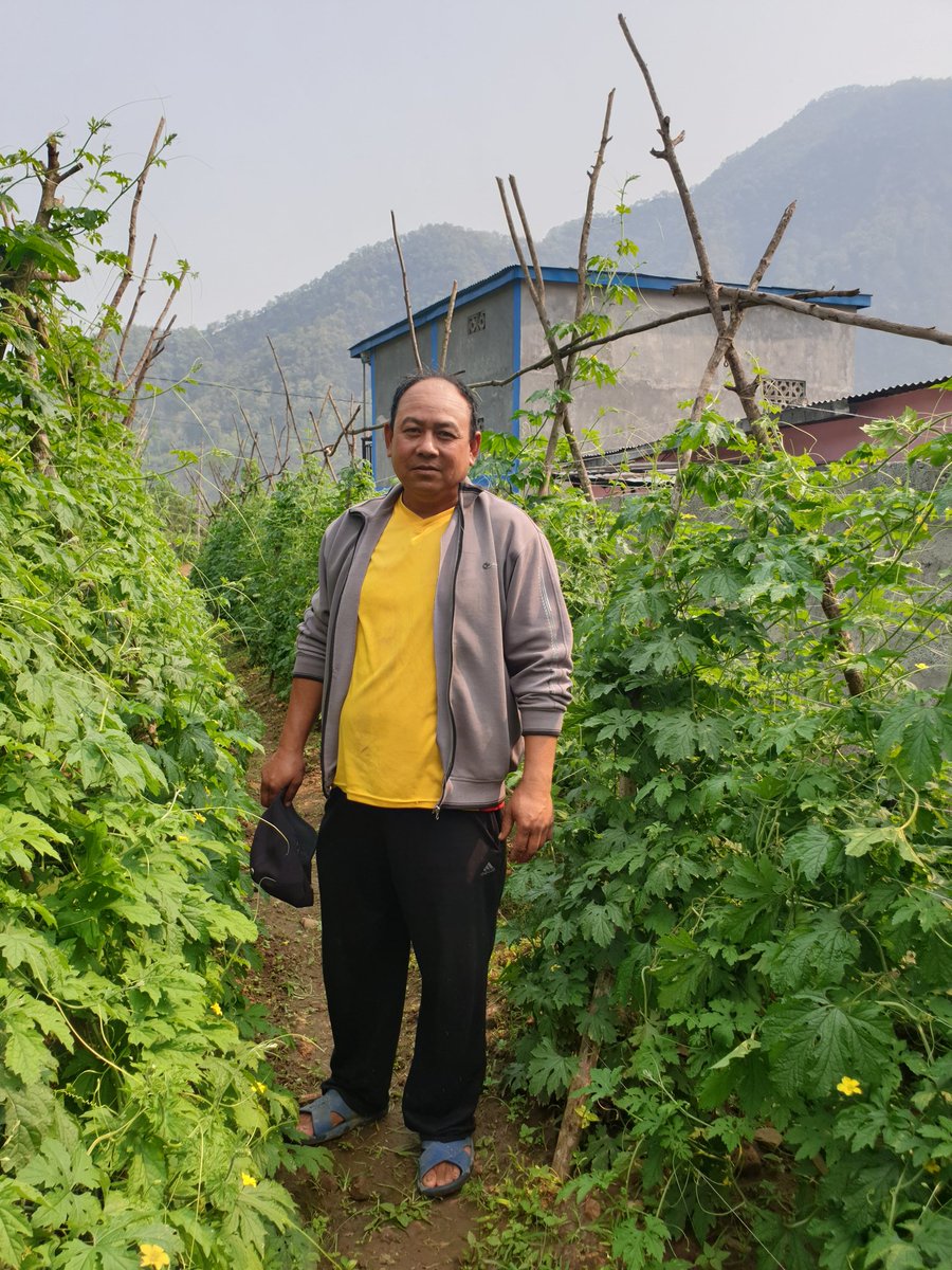 dwa_sajena's tweet photo. Exploring member farmer's farm, wholesalers, traders and several stakeholders always a good idea to find out about the reputation of the cooperative. In process of @Agriterra Cooperative Assessment with @ymnepal @ariel_myintmo @rajkadhikari https://t.co/wRjtaxsaBf