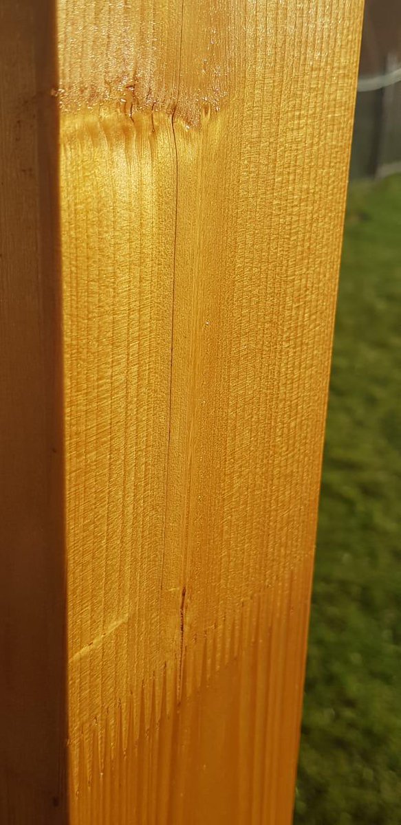 AmberProtect's tweet image. 