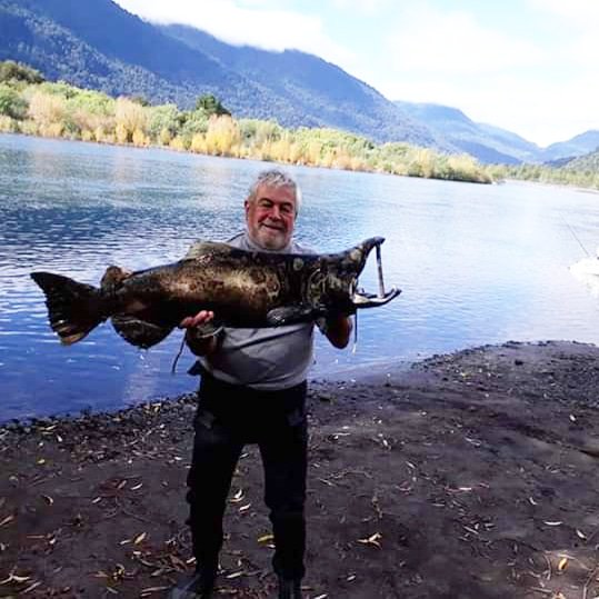 minio_jorge's tweet photo. Chinok en el Rio Petrohue https://t.co/nYBnLCt6l7