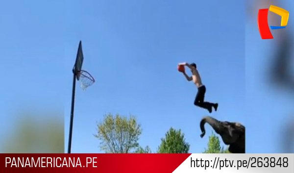 PTV_Noticias's tweet photo. [VIDEO] Joven #encesta con ayuda de #elefante en #Hungría ► https://t.co/4bKKSyCEK2 https://t.co/xZqpAANWfg