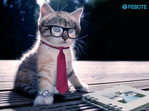 FeboteOfficial's tweet photo. Read a book, Feed your mind.📘📘 Share your best like book, and@ @FeboteOfficial with #febete #bookday https://t.co/ODkw7HvVV7
