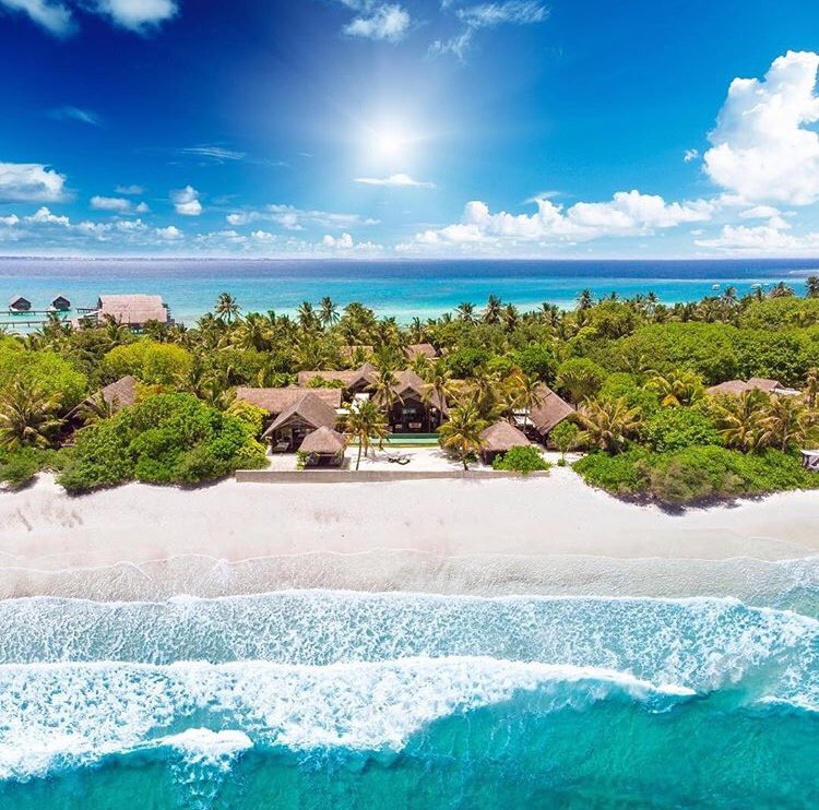 Maldivian Holidays tweet media