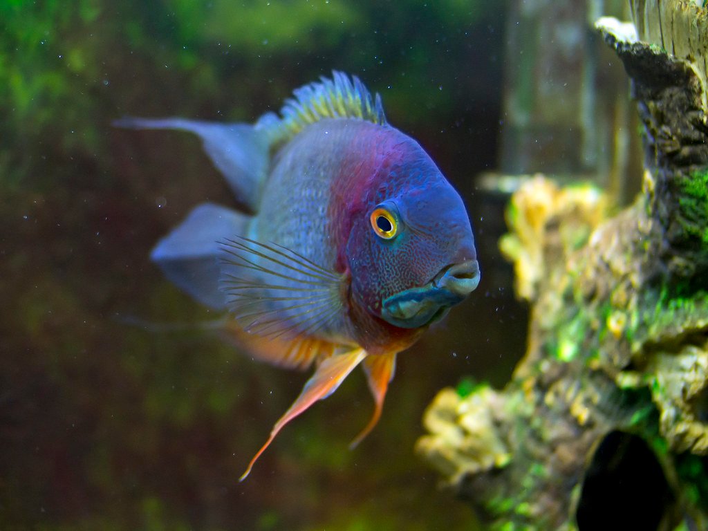 CoolFishNetwork tweet picture