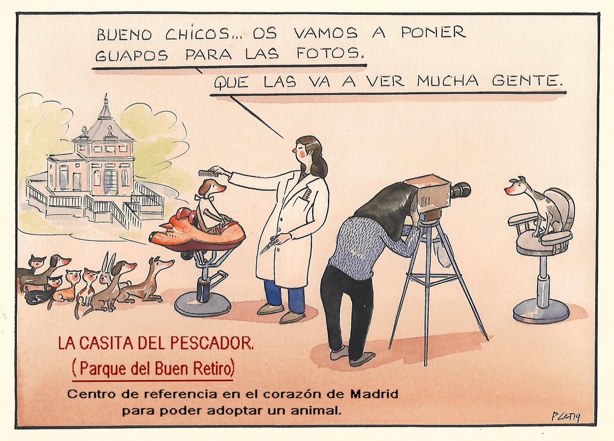 pacocatt's tweet photo. Mi viñeta de hoy miércoles 24 de abril de 2019.
En este palacete se da información sobre adopciones de animales abandonados.
Una de las cosas más interesantes que hacen es enseñar fotos de los animales a adoptar y dar información detallada de cómo hacerlo. https://t.co/R0eDMN1Li0