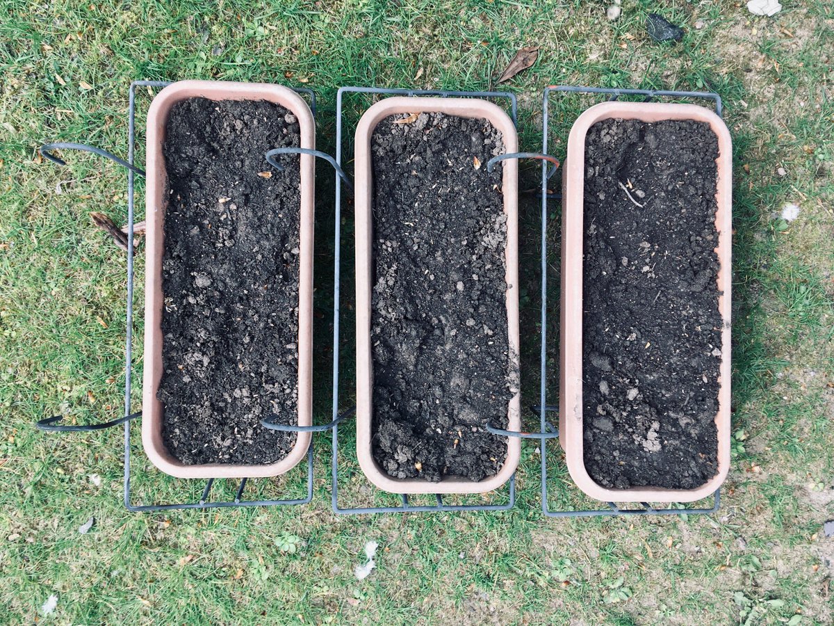 jonny_c_harris's tweet image. Just created 3 hanging planters for outside studio in #Moray packed full of #Scottish #wildseeds - our small way to give nature a helping hand (&amp;amp; to give us a lot of joy too : ) #NaturalClimateSolutions @savebutterflies @WWFScotland @RSPBNorthScot @BumblebeeTrust @seed_ball