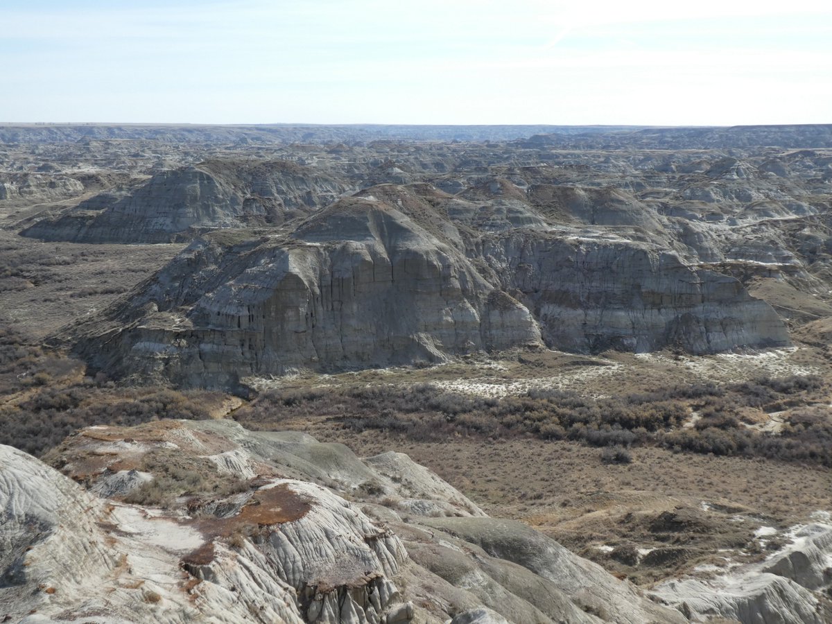 dinojonrox's tweet photo. More views of Dinosaur Provincial Park - the first photo shows evidence of meandering channels with some #fluvial #pointbar deposits, and some stunning views of a great place to spend #EarthDay AND my birthday https://t.co/gUaJyTND7I