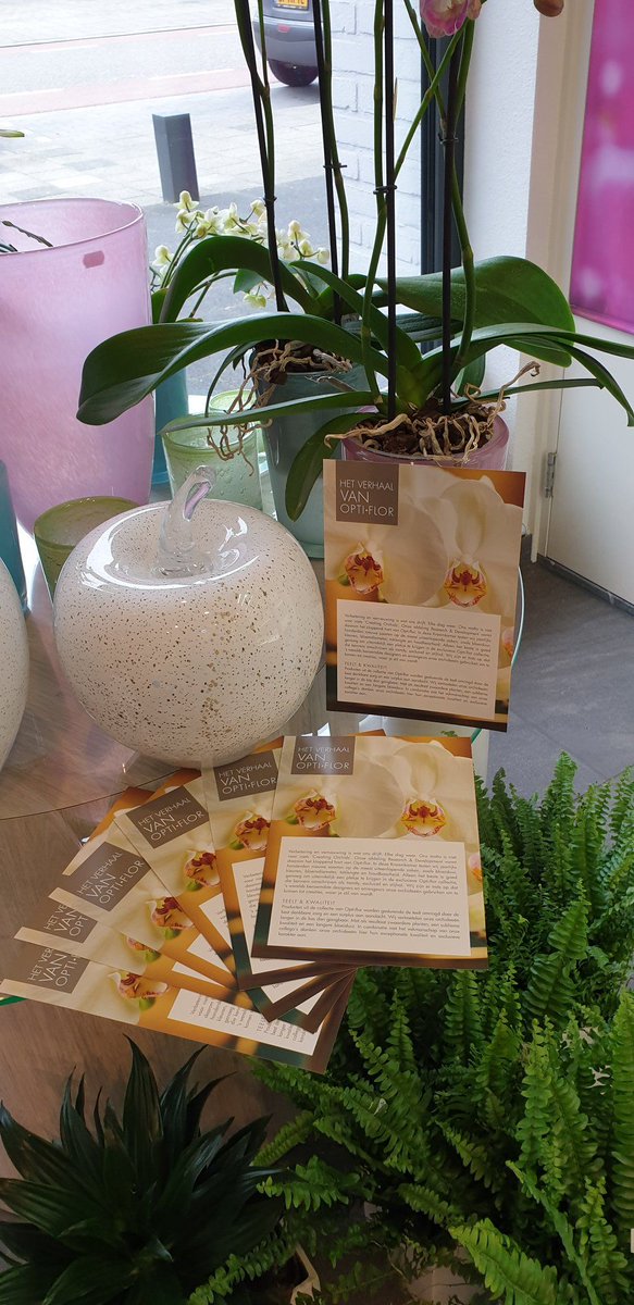 TOPTuinbouw's tweet photo. Investeren in het dealernetwerk met als resultaat een betere zichtbaarheid van het merk bij consumenten. @Opti_flor ontwikkelde hiervoor de dealerkit. Mooi initiatief #Toptuinbouw #dealerkit #hetverhaalvan https://t.co/J1PoA0IqTb