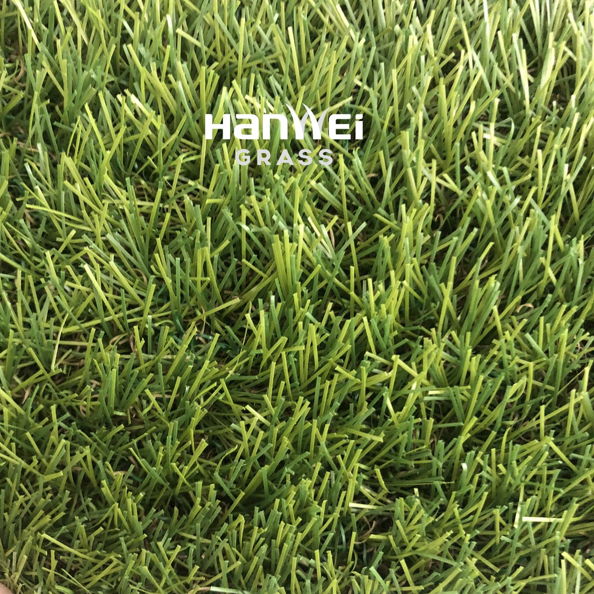 Hanwei_Grass's tweet photo. Perfectly  backed grass, great for dog owners, Our turf  have an superior quality and more and more customers choose our products.#artificial #landscape #kindergarten #decorations #turf #plastic #synthetic #grass #cover https://t.co/gxF5FjgWrv