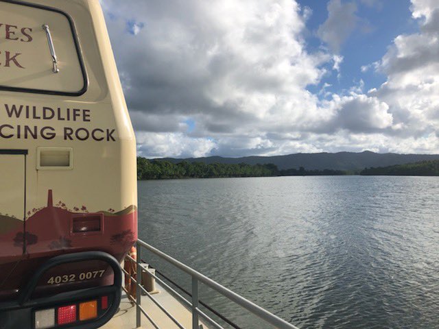 A day in the Daintree today, weighing cattle - in between enjoying the scenery! #gallagherlife