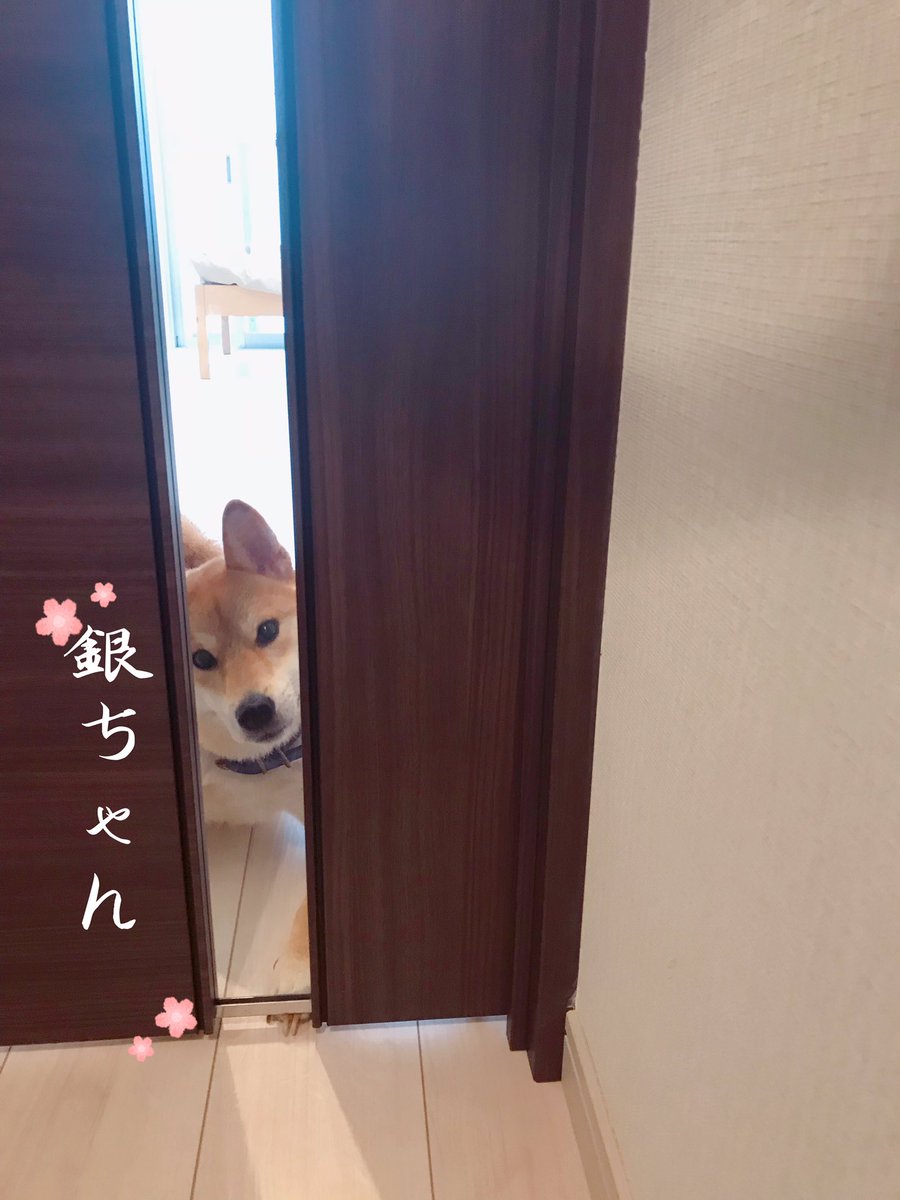 E9 A6 96 E8 E5 A3 8a 81 99 Twitter Search