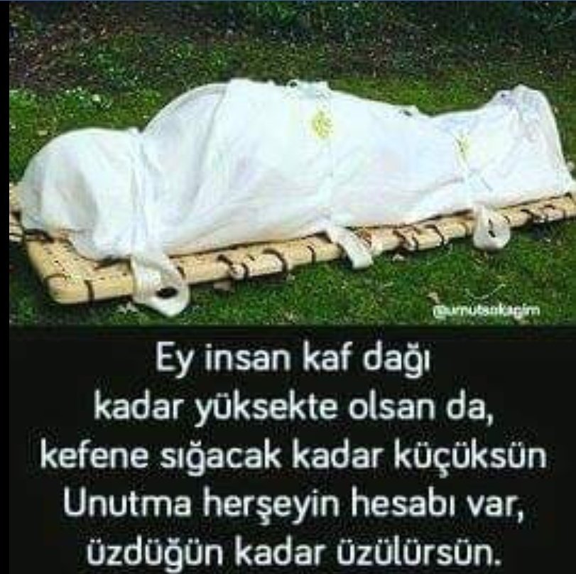 Eli Qurbanov (@eli__qurbanov) on Twitter photo 