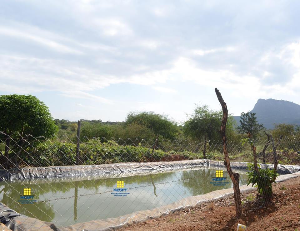 MESPT_ke's tweet image. Time is now for rain water harvesting! The weatherman has warned Kenyans  to brace themselves for heavy rains, where several parts of the country  will experience increased rainfall intensities.#RainHarvest