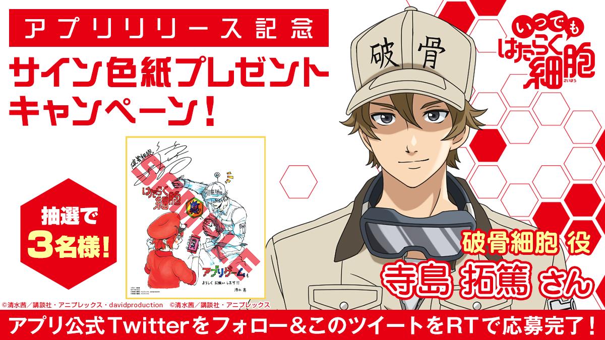 公式】いつでも はたらく細胞 on X: 公式】いつでも はたらく細胞 on X: