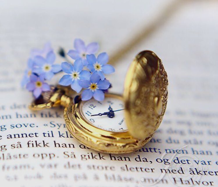InsanityStudent's tweet photo. “La cattiva notizia è che il tempo vola. La buona notizia è che sei il pilota”. ⏰

#MichaelAlthsule

 #ScrivoDelTempo #UnaCosaChe #24aprile #CasaLettori #ScrivoArte @ScrivoArte #tempo #mercoledì #wednesdaythoughts https://t.co/YeCgVzxRIv