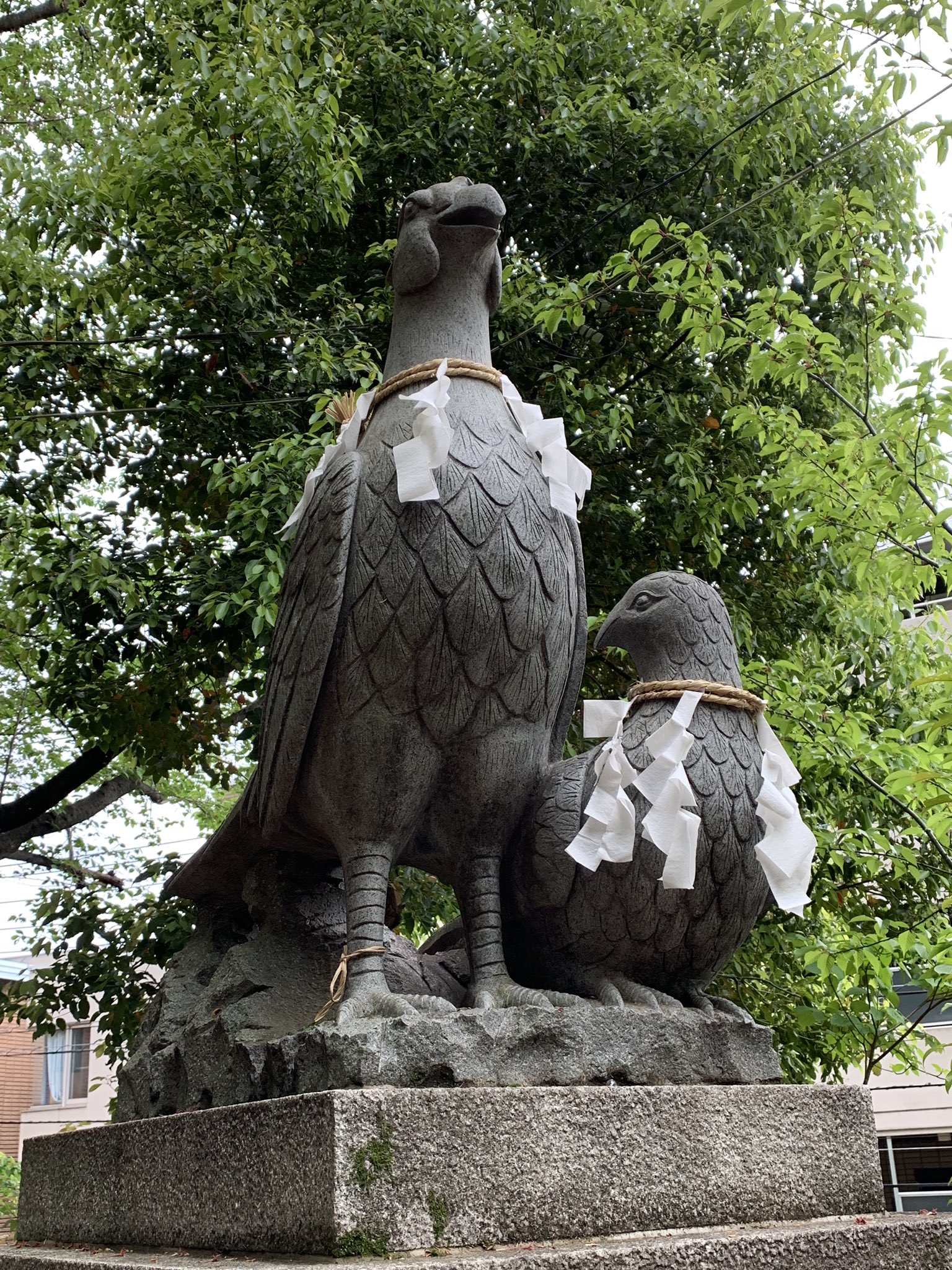あさだみほ 近所の神社 狛犬ではなく狛鳥だった そしていつもいる可愛いネコチャン T Co Arrhuecsxw Twitter あさだみほ 近所の神社 狛犬ではなく狛鳥だった そしていつもいる可愛いネコチャン T Co Arrhuecsxw Twitter