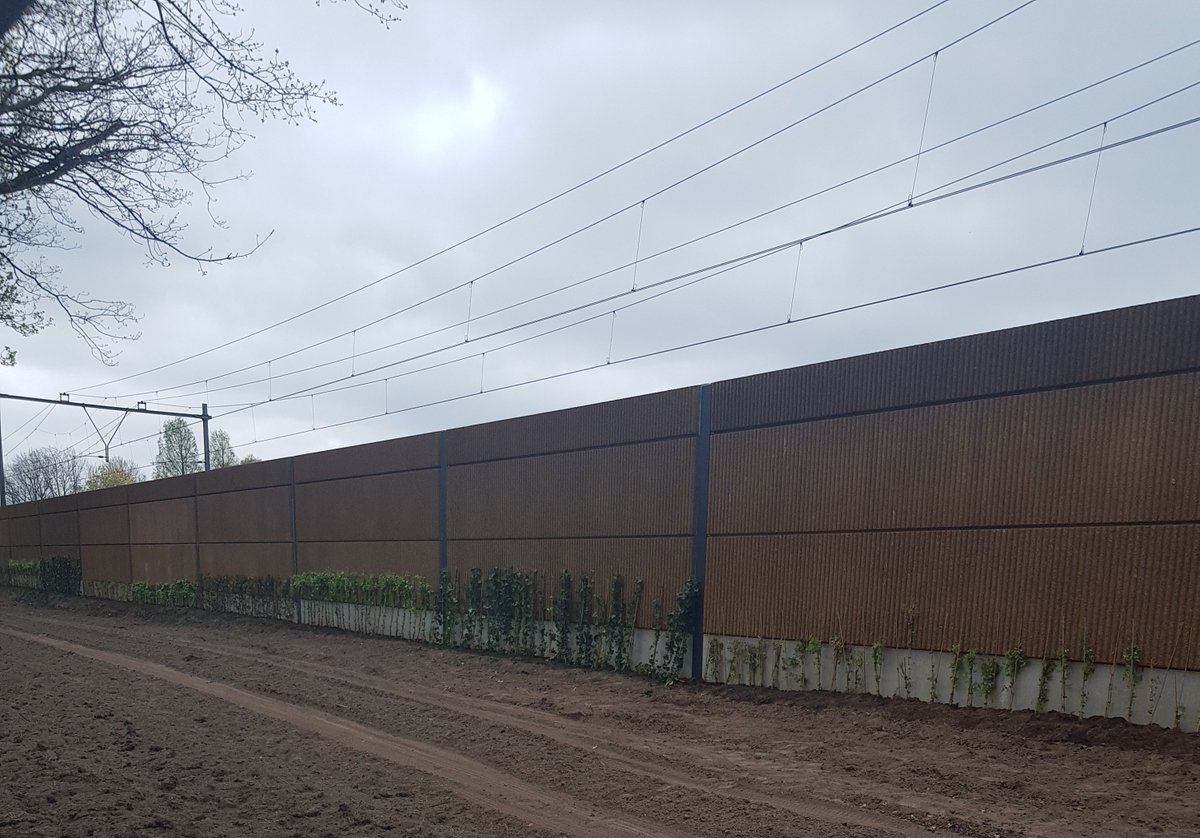 We zijn gestart met het planten van klimplanten tegen de geluidschermen bij het spoor. Er komen afwisselend vijf verschillende soorten, zodat er een gevarieerd beeld ontstaat. Daarnaast komen er hagen en gras. Kijk voor meer info op 👉 deurne.nl/stillerspoor