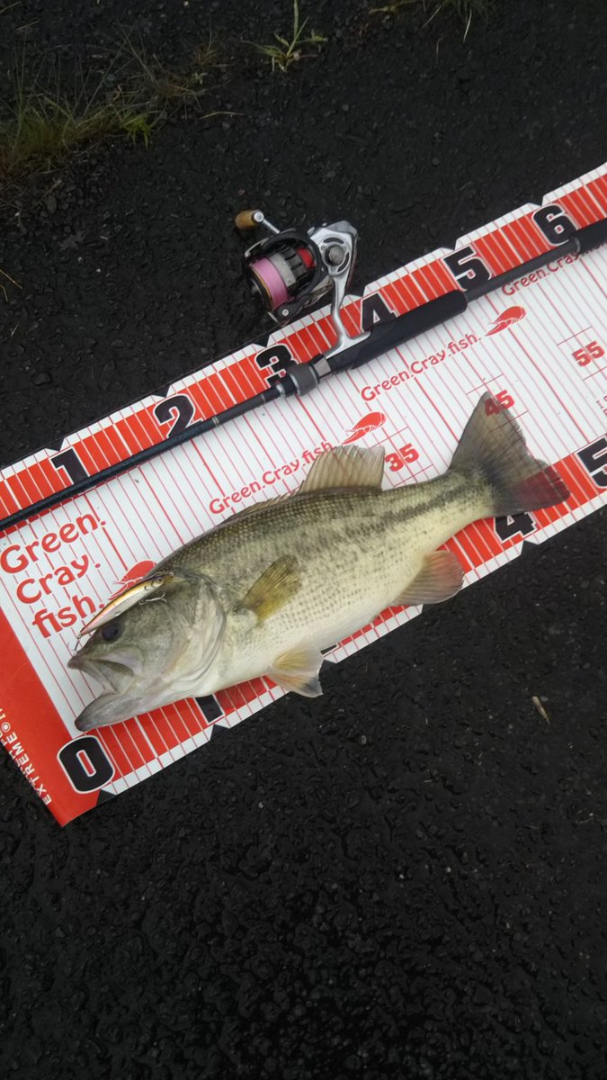 危険生物から日本を守る Iii