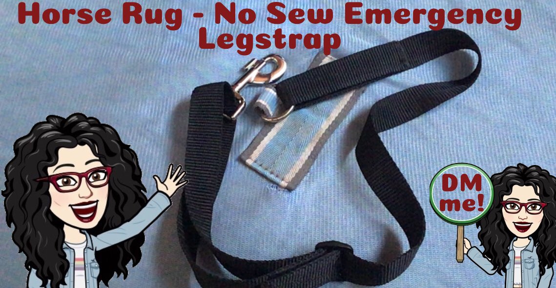 ripitpatchit's tweet image. No sew Horse Rug Legstraps!