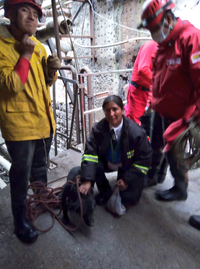 Pol_Boliviana's tweet photo. #LaPaz
Personal de seguridad de la #CBN informó sobre la presencia de un perrito atrapado en el río.  Nuestros #Bomberos acudieron inmediatamente y lograron rescatar al can, que fue adoptado por una funcionaria de la #CBN de buen corazón. https://t.co/DEPjkML8ca