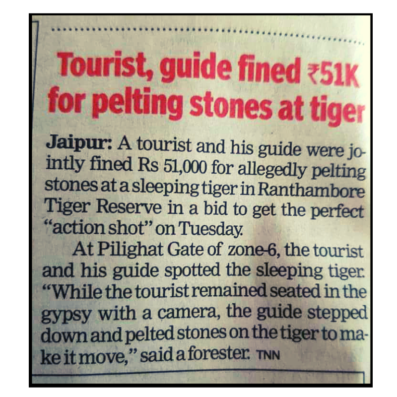 ranthamborepark's tweet photo. #RanthamboreUpdate 
Guide, tourist fined Rs 51,000 for throwing stones at a tiger in Ranthambore National Park.
#ranthamborepark 
@my_rajasthan https://t.co/LNcfECCPRZ