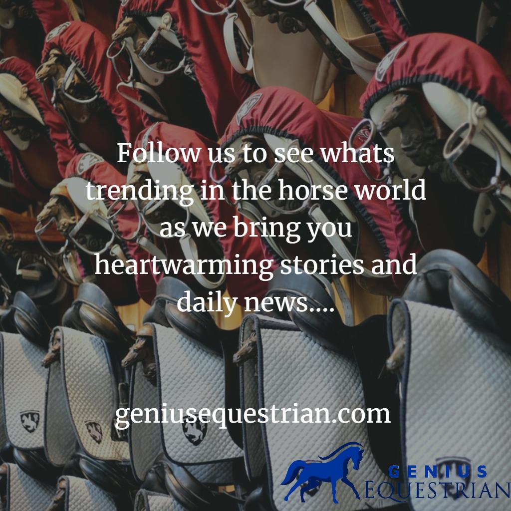 G_EquestrianUK's tweet photo. Follow us to see whats trending in the horse world as we bring you heartwarming stories and daily news....
https://t.co/yCSoU28NwY
#ponyhour #equestriannews #equestrianmagazine #horsebloggers https://t.co/K39d9kVsUr