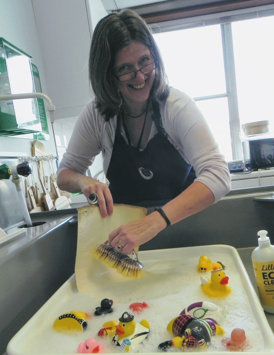 NAIKeeper's tweet image. For day 24 of #Archive30  I was asked recently if the rubber ducks that decorate my sink ever got a bath! Here is #SomethingFun, a photo from a couple of years ago, when they did  #WednesdayWashing @ARAScot