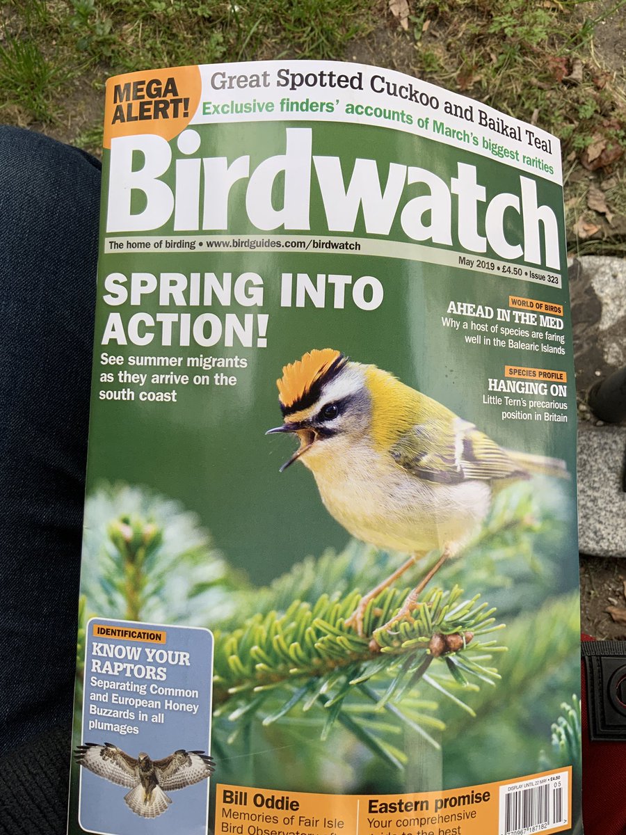 PaulThomas992's tweet photo. Brilliant, if bizarre article by columnist Dominic Mitchell about ‘patching’ in @BirdwatchExtra . If I understand correctly, Dominic was held at gunpoint in Alexandra Pk while a man -dressed as the Unabomber-pointed out a Subalpine Warbler to him! Never happens at the Scrubs. https://t.co/DVYebTSkE7
