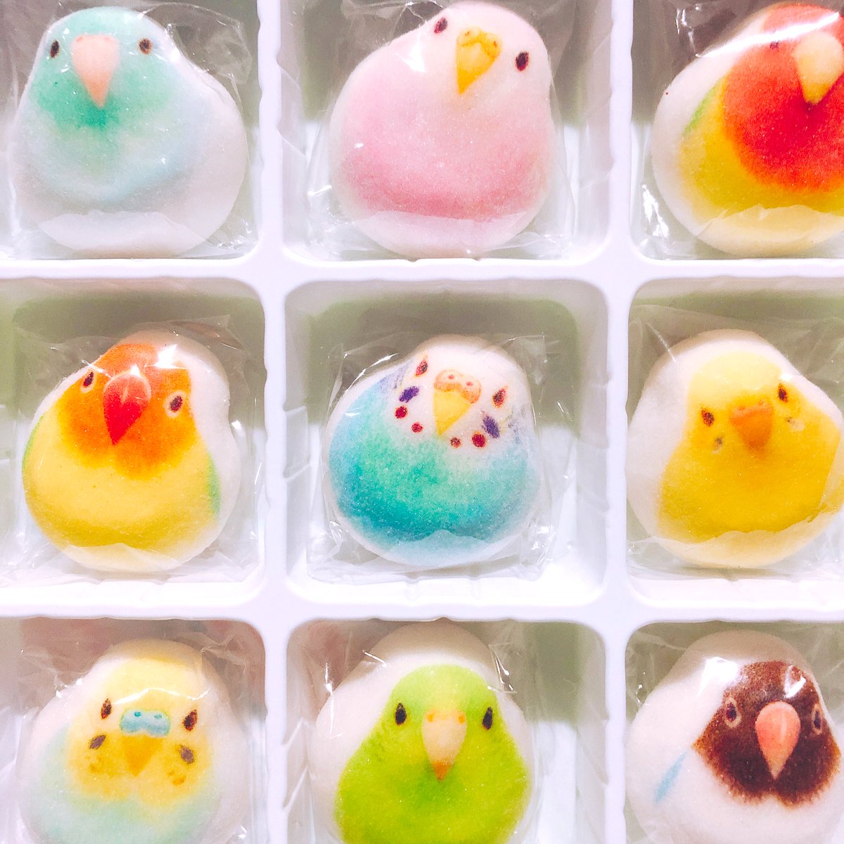 インコのほうずい