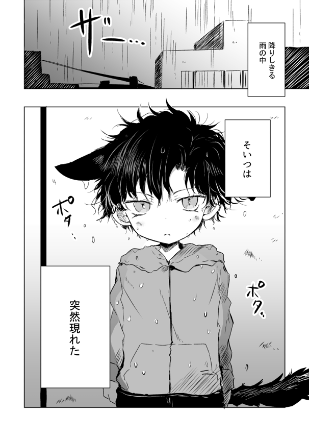 ショタねこみみ赤安 