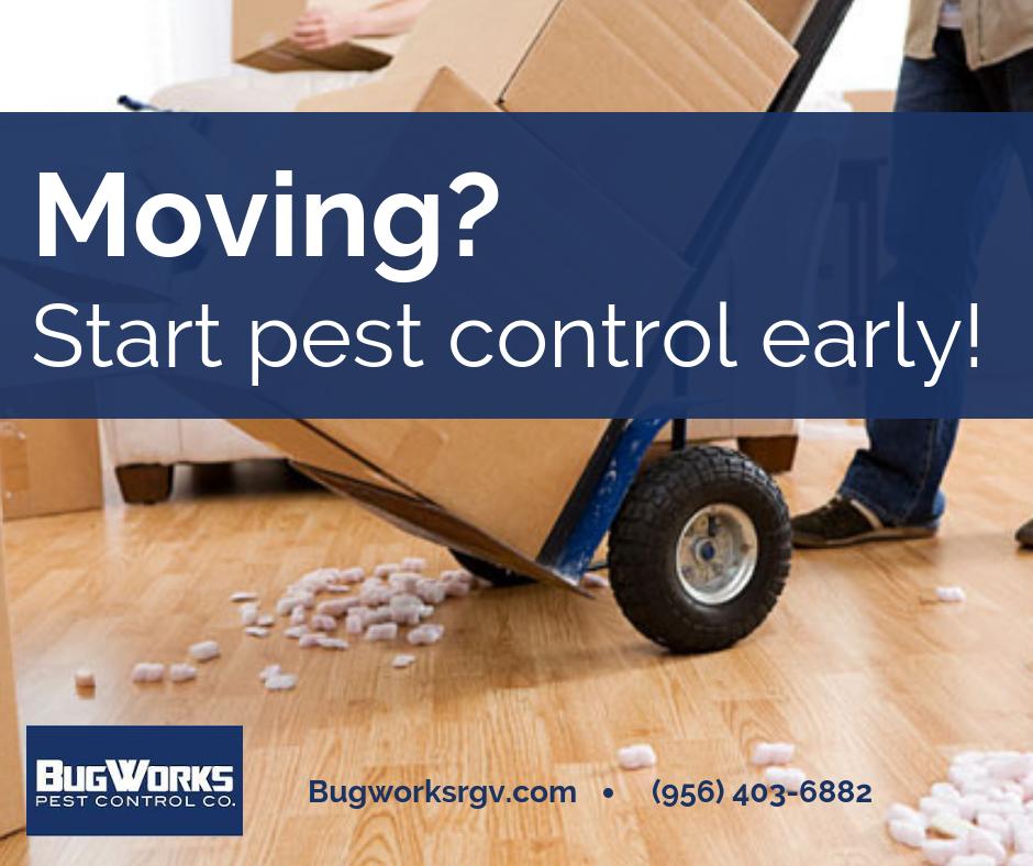 BugWorksRGV's tweet image. Are you moving spaces? Don't forget to hire BugWorks (956) 403-6882! 

bugworksrgv.com