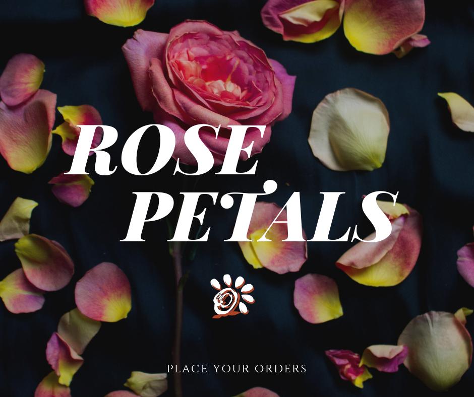 FloranaFarms's tweet photo. Rose Petals are now available!

Get yours now♥

#rosepetals #petals #organic #organicroses #organicagriculture https://t.co/Jo6PkHYzj2