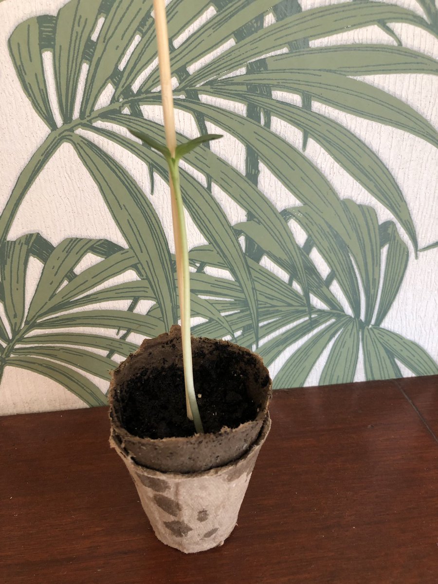 BLACK MILK tweet media