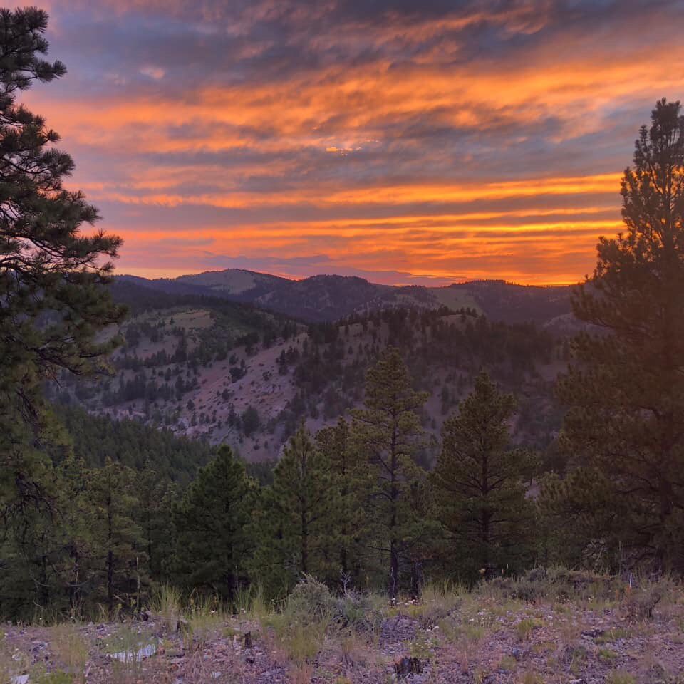 The MT Land Reliance tweet media