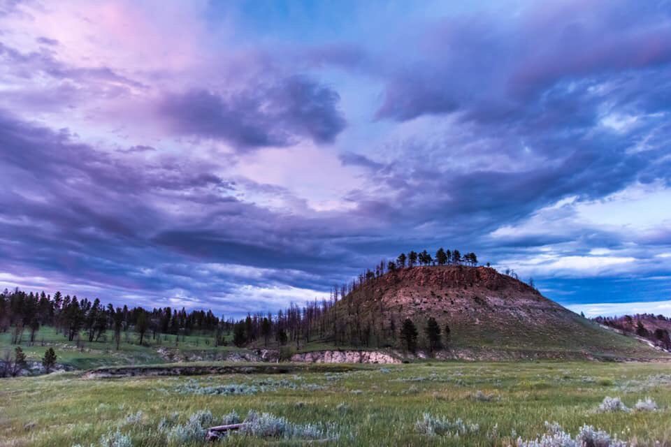 The MT Land Reliance tweet media