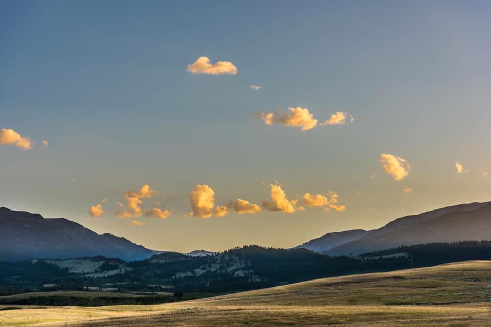 The MT Land Reliance tweet media