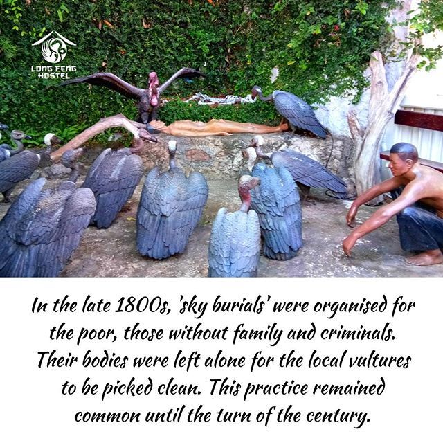 LesRrunner's tweet photo. Tough times 💀🦅. Not the faint of heart 😳.⠀
⠀
⠀
#bangkokhistory #sculpted #artistsoninstagram #longfengbangkok #longfenghostel #bangkok #bangkokhostel #bucketlist #adventure #backpackers #backpacking #explore #guesthouse #holiday #hostel #hostelli… https://t.co/VZ6ZIuL8Ww https://t.co/xAmipD10bX