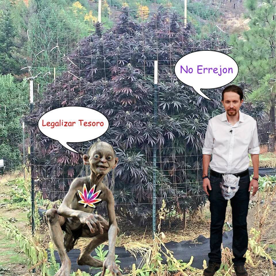 rebecaoghydro's tweet photo. #debate #EleccionesGenerales #Podemos #PabloIglesias #PedroSanchez #Ferreras #sexta #PP
#cannabis #QRHMS https://t.co/snXaQB4XOG