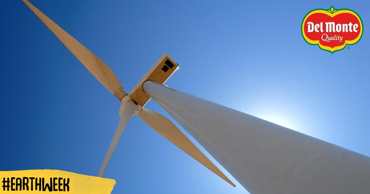 We're building a wind turbine in Gonzales, CA that will generate up to 4,900 MWh of energy a year for our new Del Monte Fresh/Mann Packing facility. Not sure how much electricity that is? One MWh is equivalent to the same amount of electricity that 330 homes use in one hour!