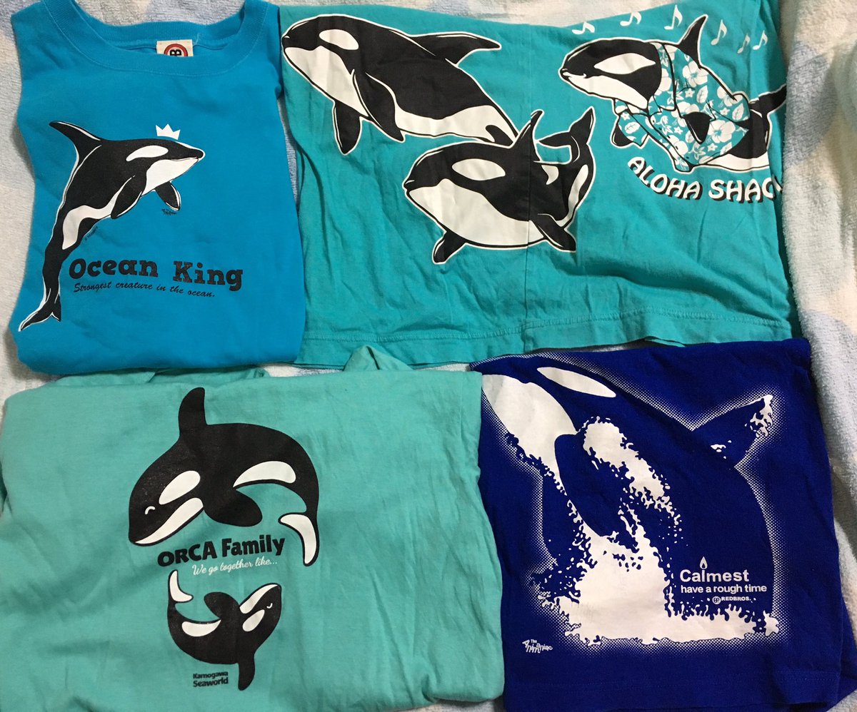 鯱 人の意見は聞くべし 可愛いよね アロハシャチは 色ち買いしたw