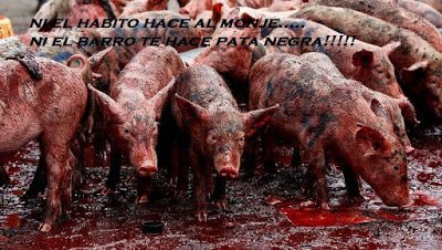 TorresBlaves tweet media