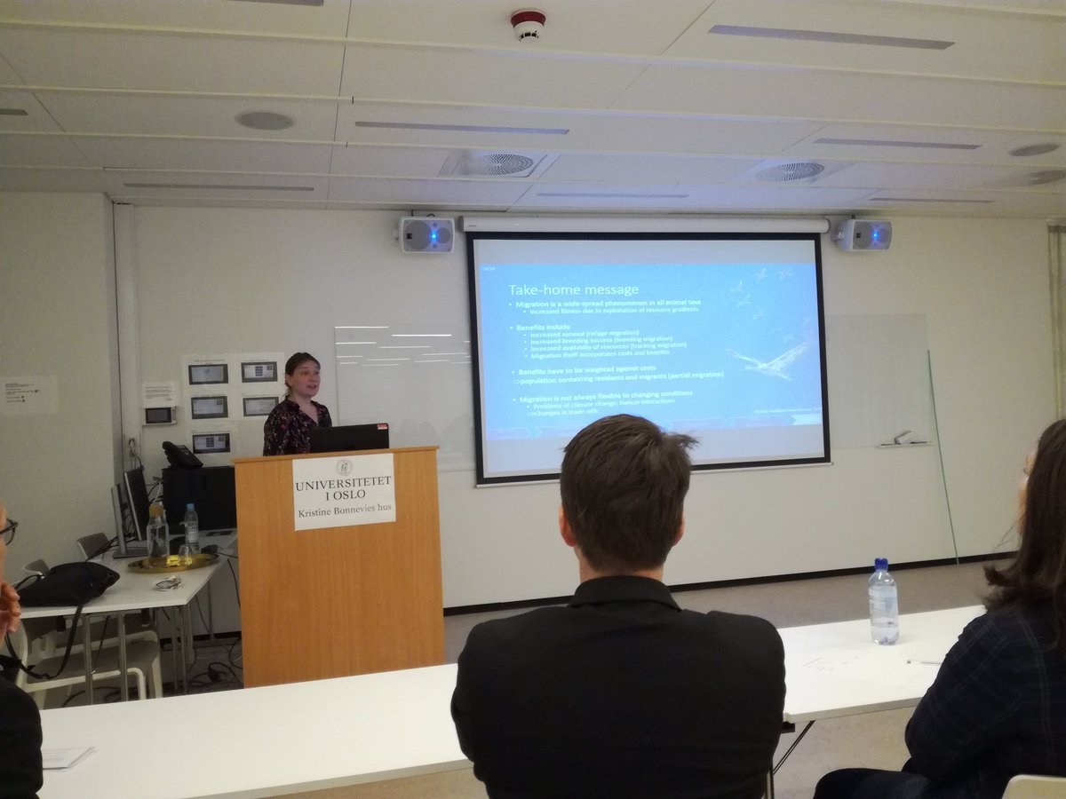 Rob van Gemert tweet media