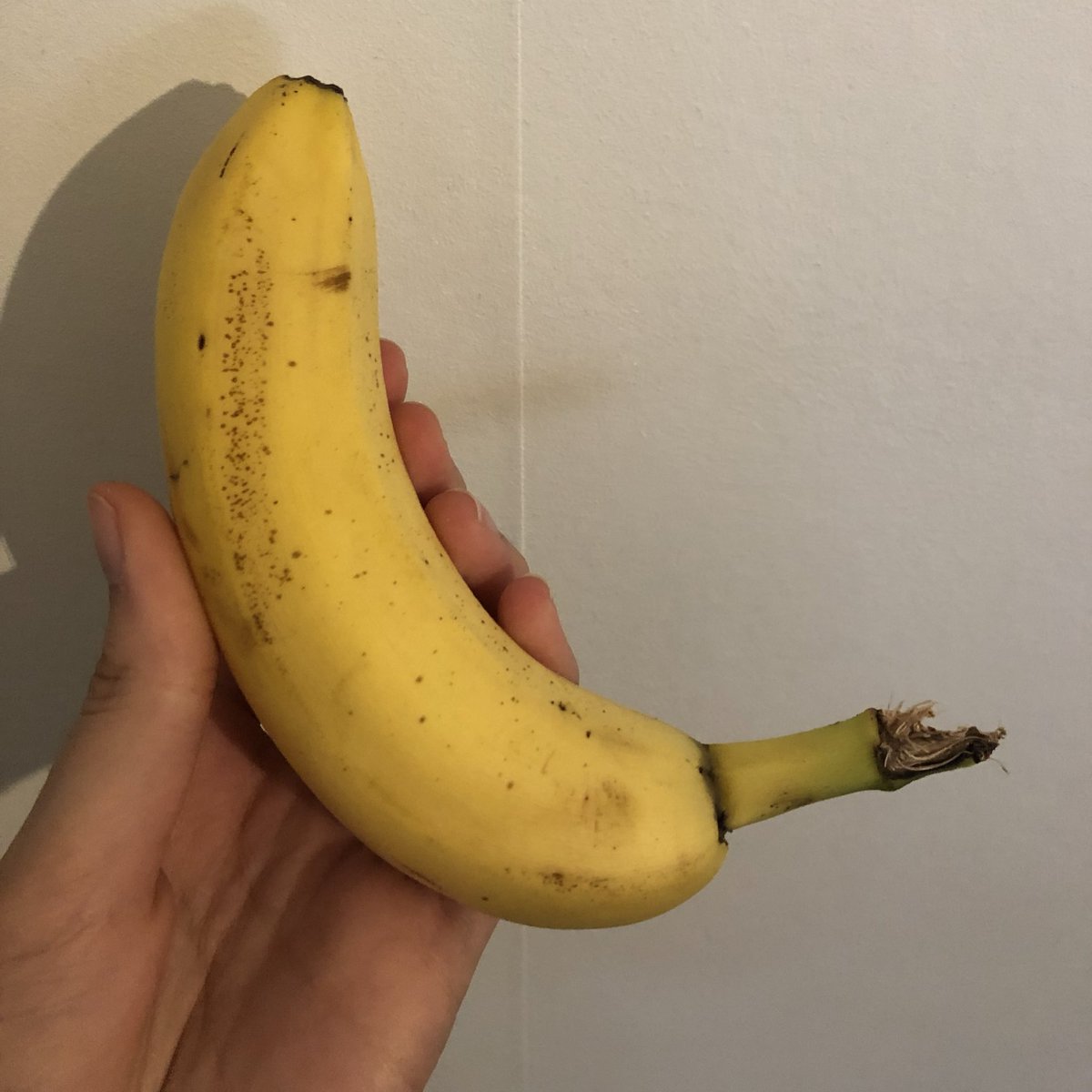 whimcyj's tweet photo. about how many calories is this small-ish banana ?? https://t.co/ZucW86U2Q0