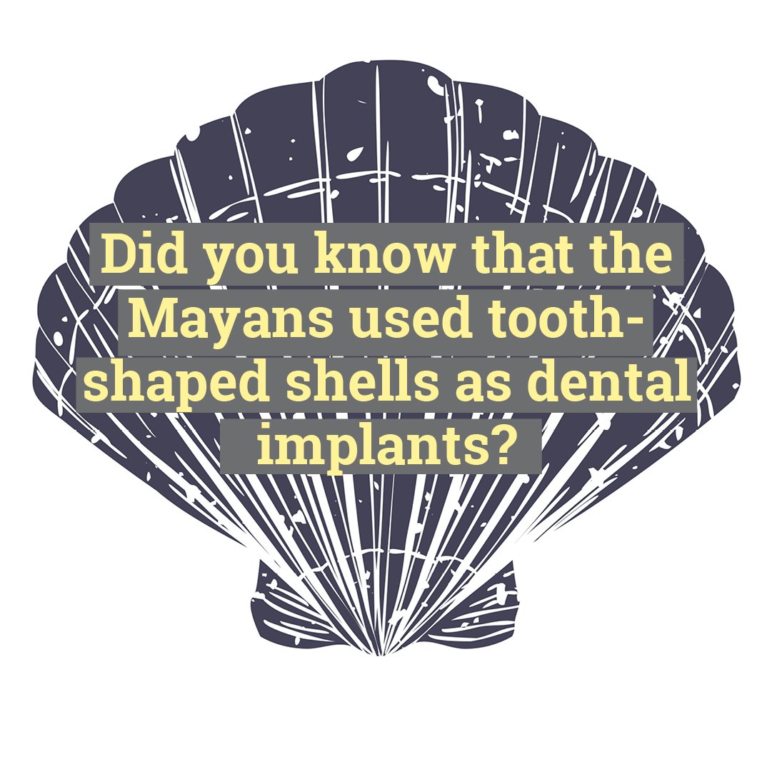 NovosDental's tweet photo. The shell's calcium carbonate even allowed for partial integration with the bone! https://t.co/WAN1owd4Re #DidYouKnow #Birmingham #Dentist #Dentistry #DentalFacts https://t.co/W76Zjvo5wj