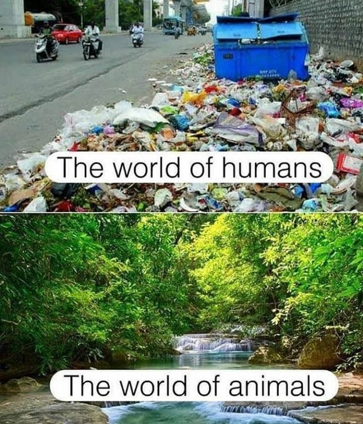 Почему люди не сдаются. Так много знающих как жить так. Почему люди так много живут. Почему люди так много живут. Зачем человек рождается и живет.